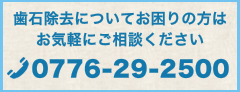 歯石除去についてお困りの方はお気軽にご相談ください 0776-29-2500